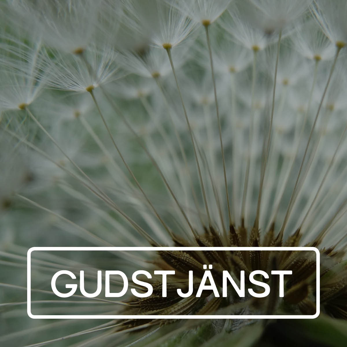 Gudstjänst, Centrumförsamlingen, Forserum, Centrumkyrkan, Tro, Kyrka,