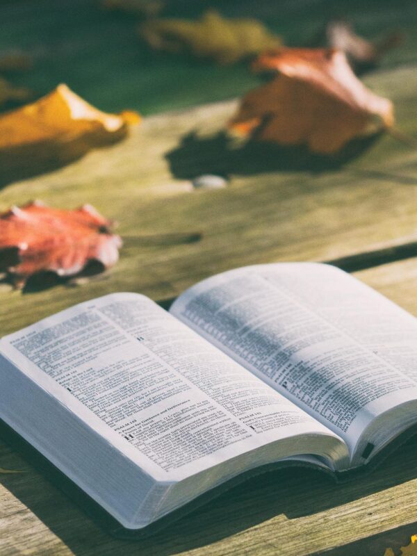 bible-1868070_1920