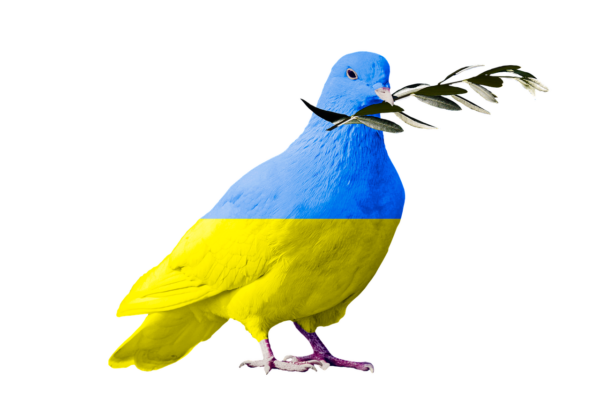dove-of-peace-7051688_1280